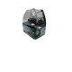Галогенная лампа Star Xenon H1 12V 100W rainbow yellow комплект (R1241S3)